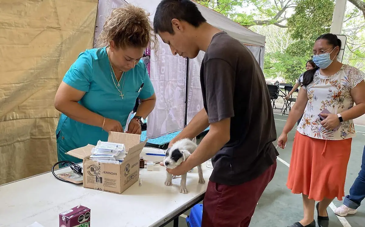 capaña-de-esterilizacion-cuautla
