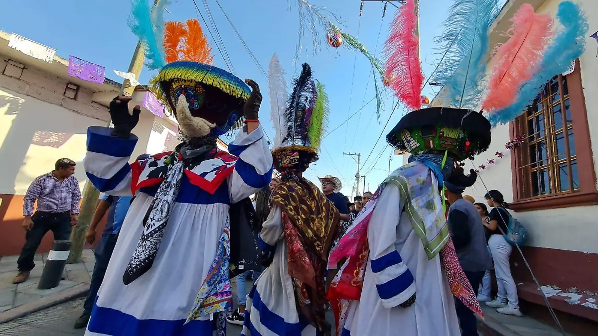 carnaval-de-anenecuilco