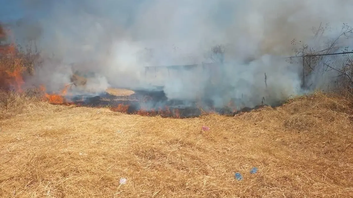 PREOCUPA EN CUAUTLA ALTO NÚMERO DE INCENDIOS DE PASTIZALES