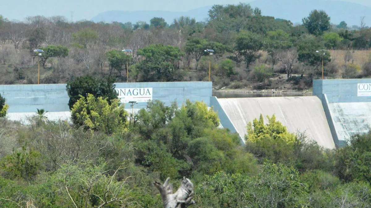 presas-morelos-gude