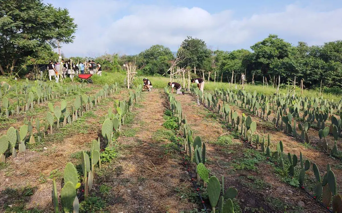 agroecología-en-morelos