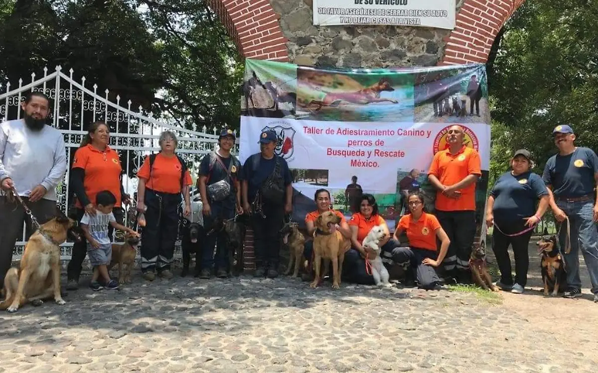 adiestramiento-de-perros