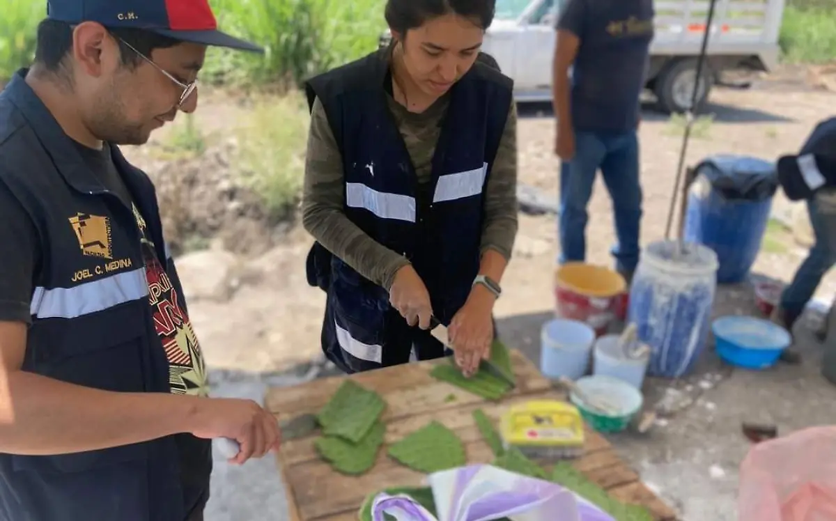 FB_IMG_1656025606175