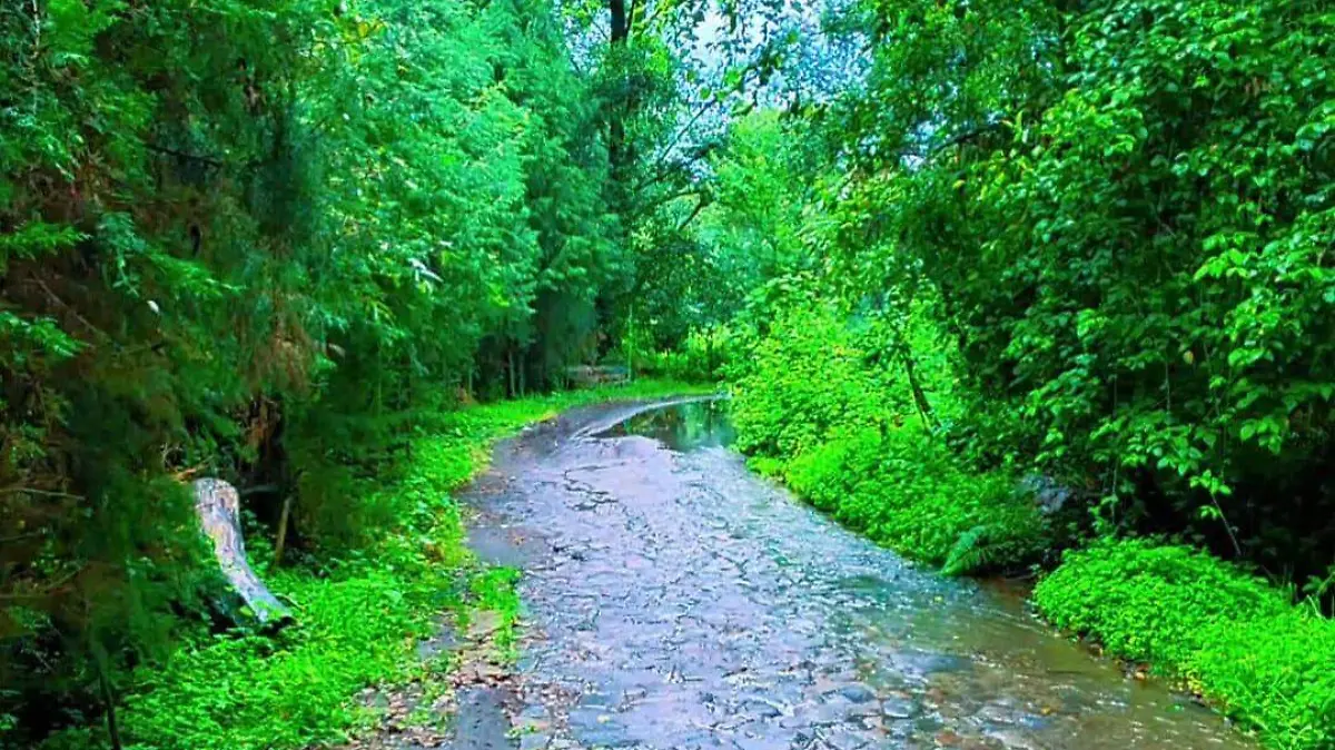 el salto