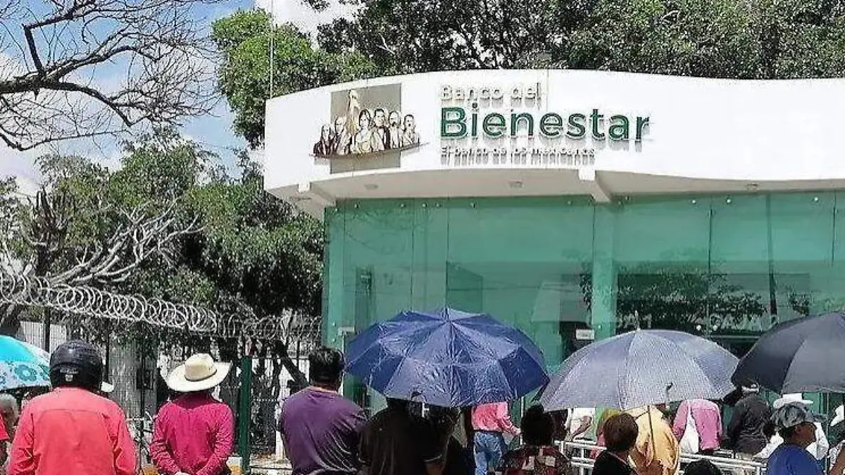 WhatsApp Image 2025-07-10 at 16.20.18