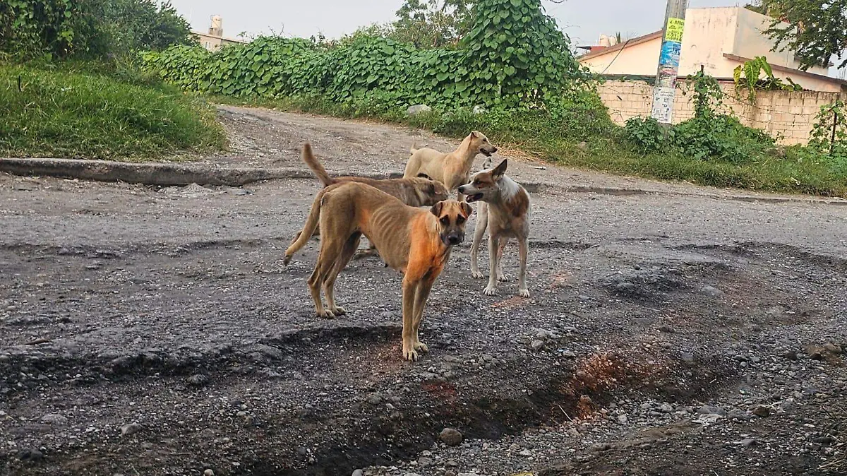 1000064611