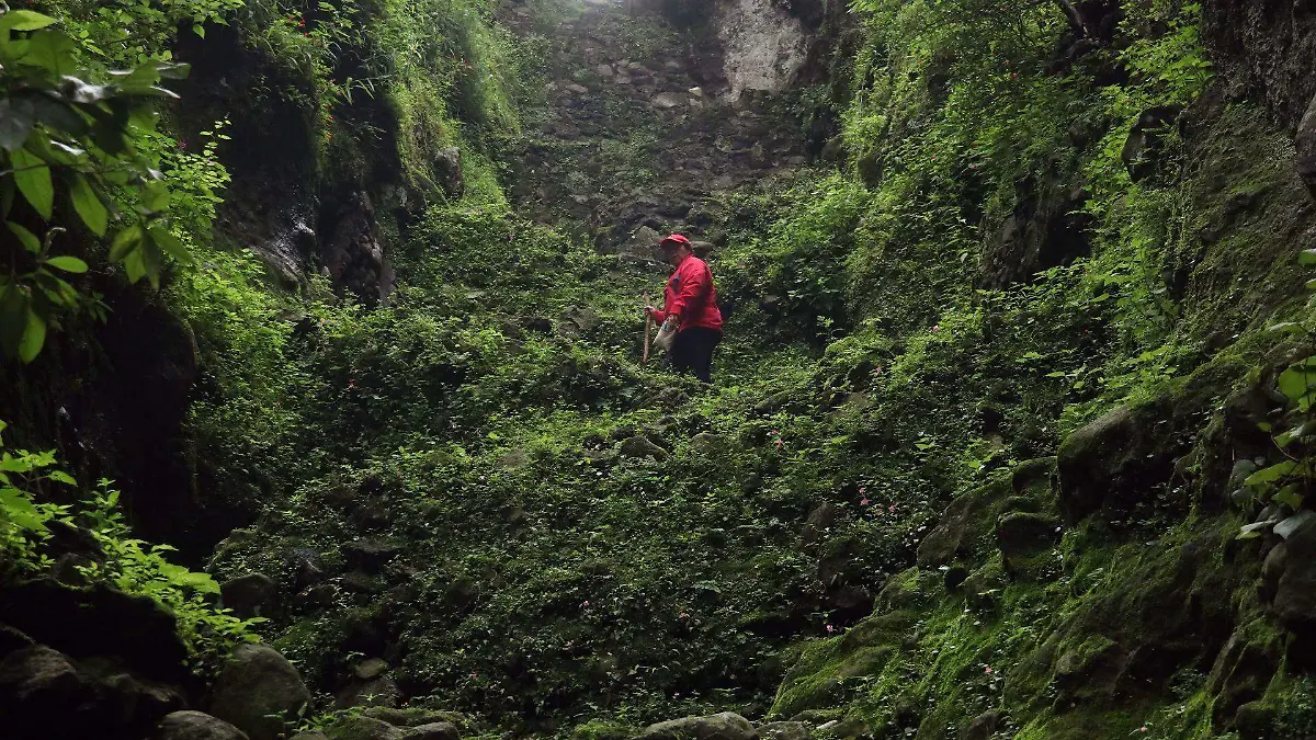 894290_Zona Arqueológica El Tepozteco Reapertura_web