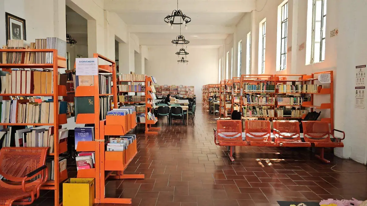 IMG-20241109-WA0018(1)