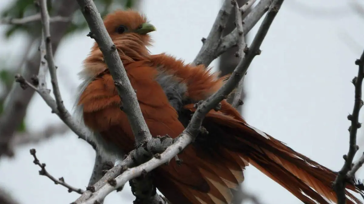 FB_IMG_1759972724775