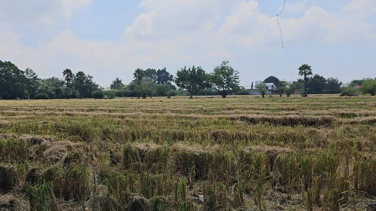 VideoCapture_20240922-160834