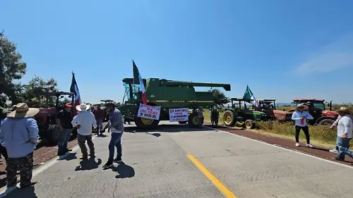 WhatsApp Image 2025-10-27 at 3.41.23 PM