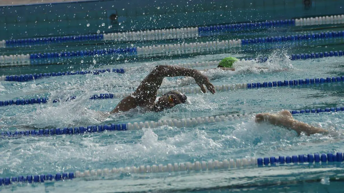 WhatsApp Image 2025-11-14 at 10.00.02