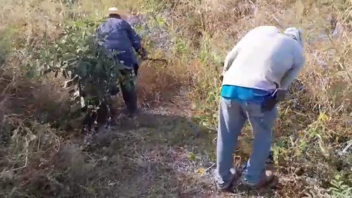 WhatsApp Image 2025-11-21 at 18.22.10