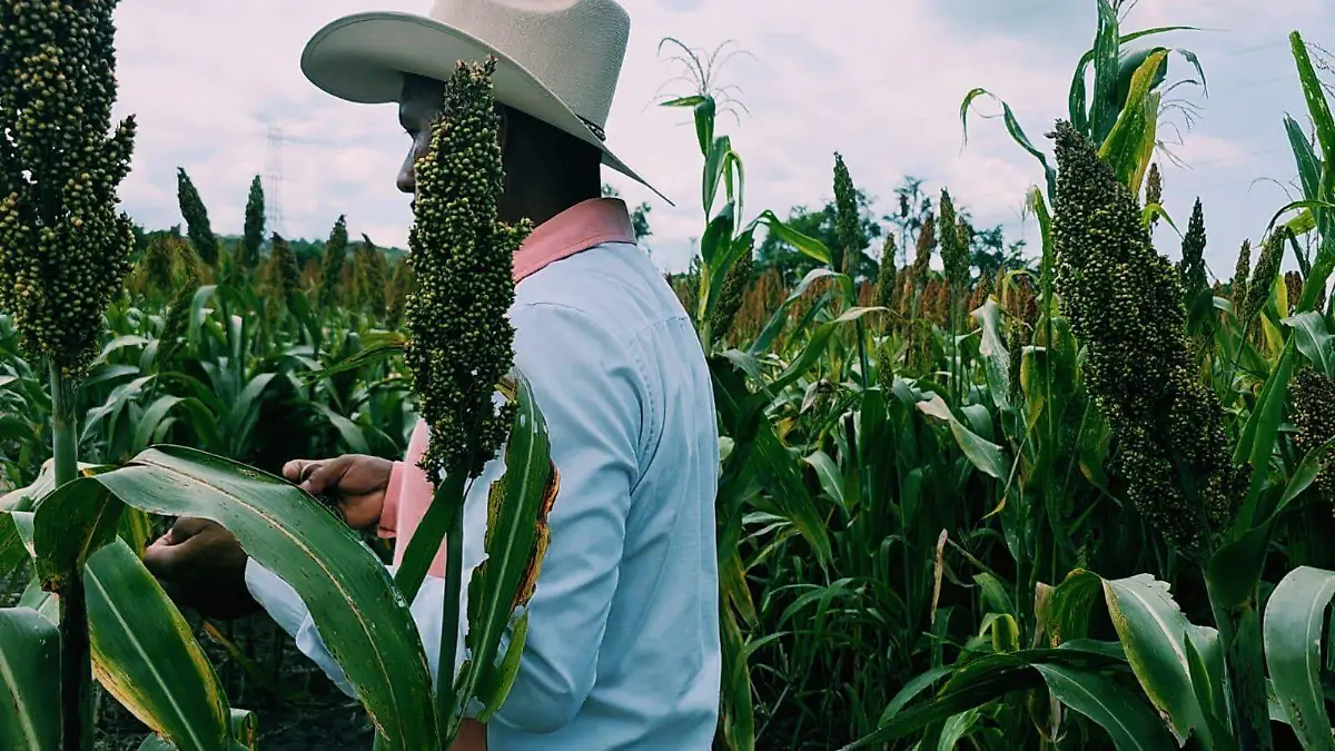 Santos, campesino de Ayala, Morelos