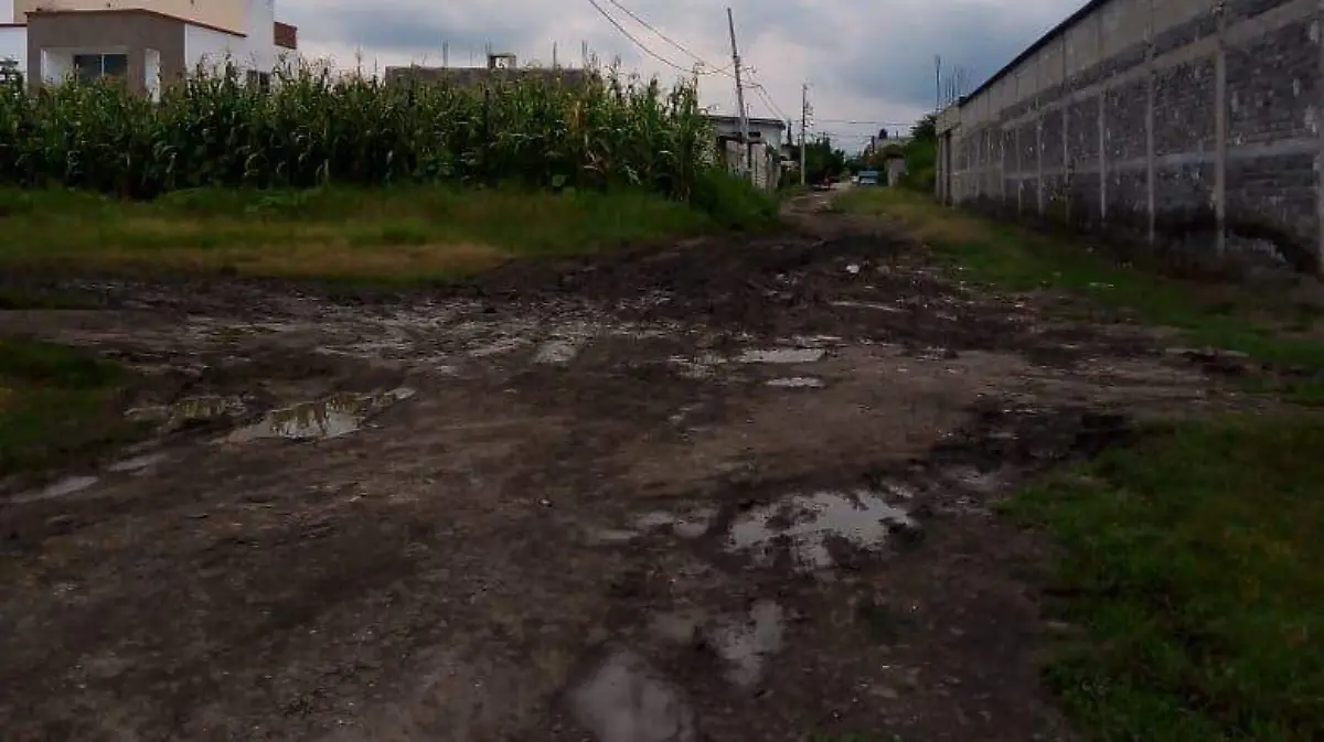 WhatsApp Image 2025-11-25 at 15.46.00