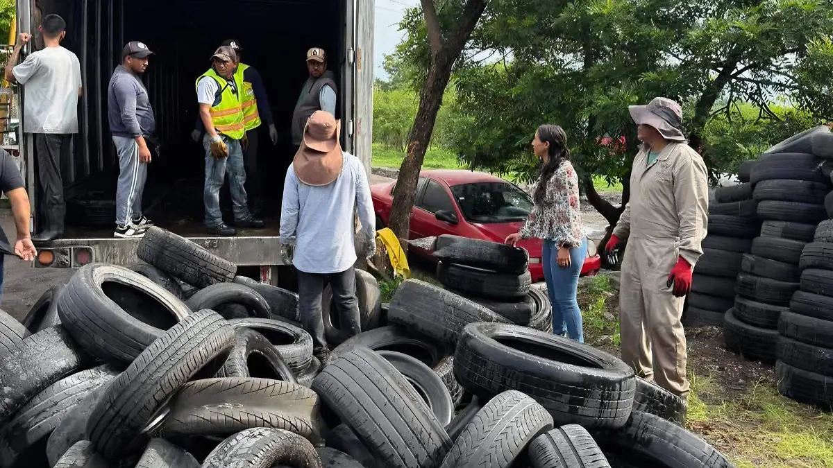 FB_IMG_1764184849711