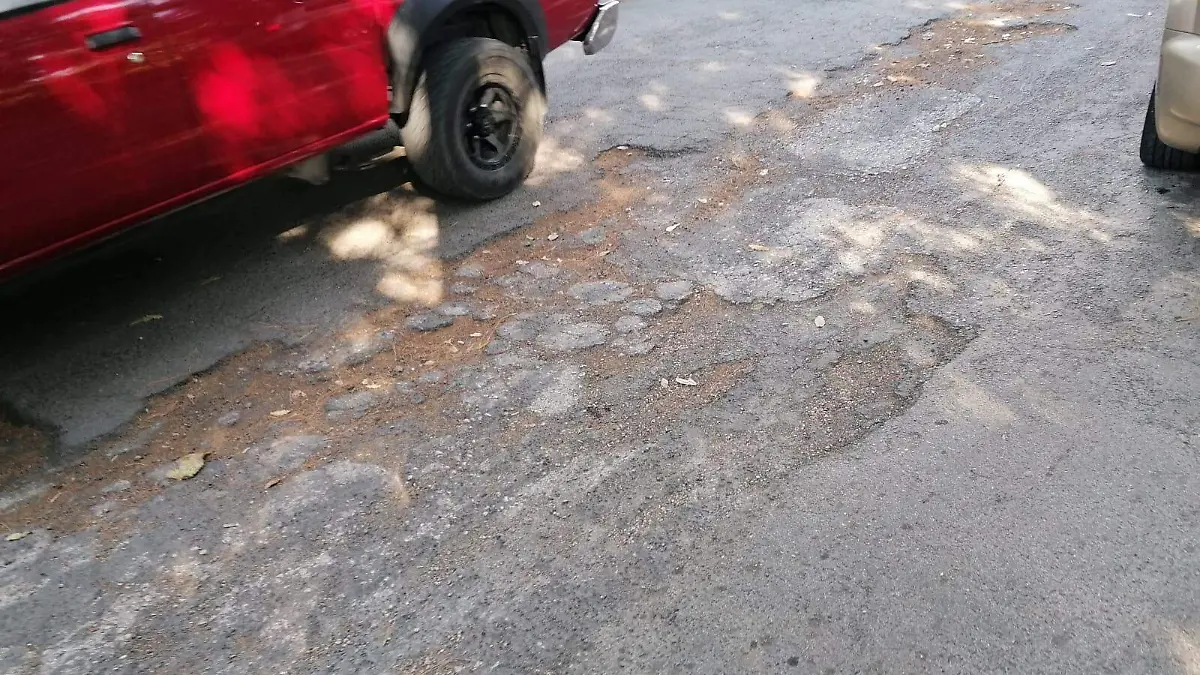 WhatsApp Image 2025-12-01 at 17.15.07