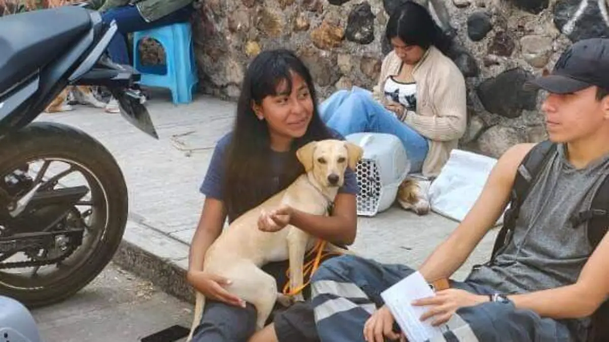 WhatsApp Image 2025-12-10 at 13.24.49 (1)