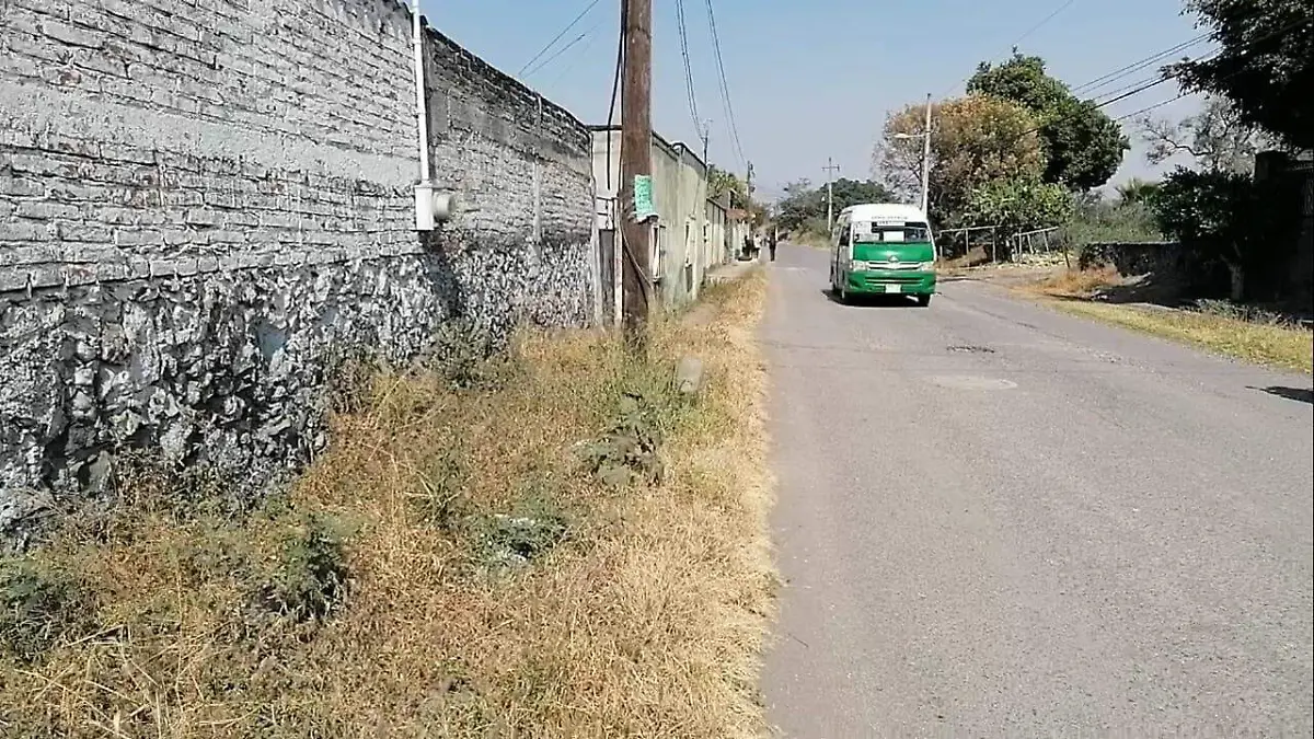 WhatsApp Image 2025-12-12 at 15.21.51