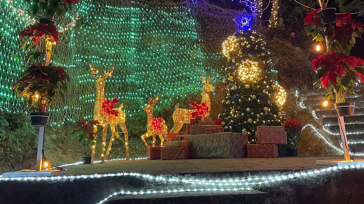 WhatsApp Image 2025-12-14 at 16.48.29