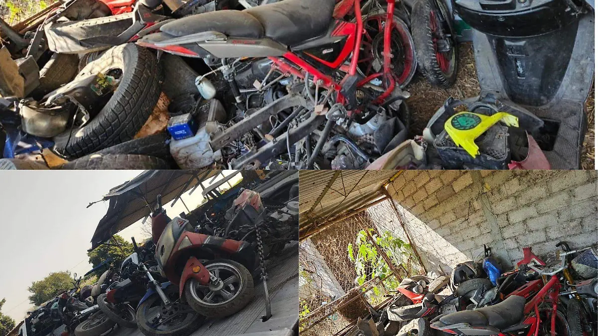 601846911_1215959050635063_5359257677482784344_n