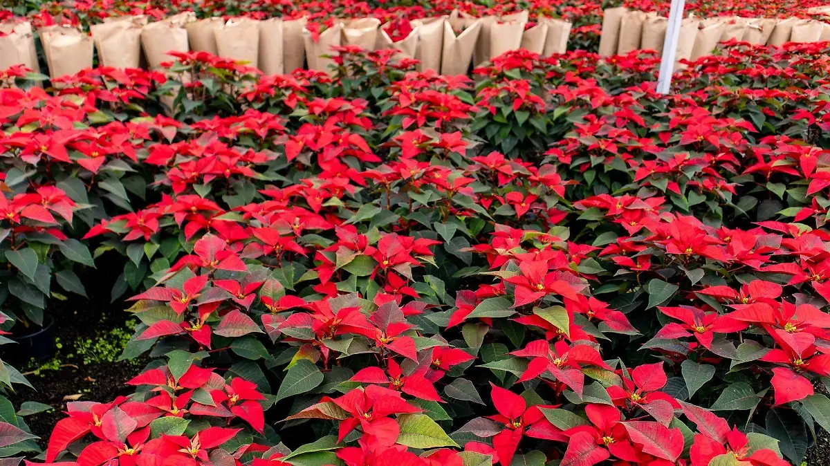 605117117_1262004465960254_1697555336118549501_n