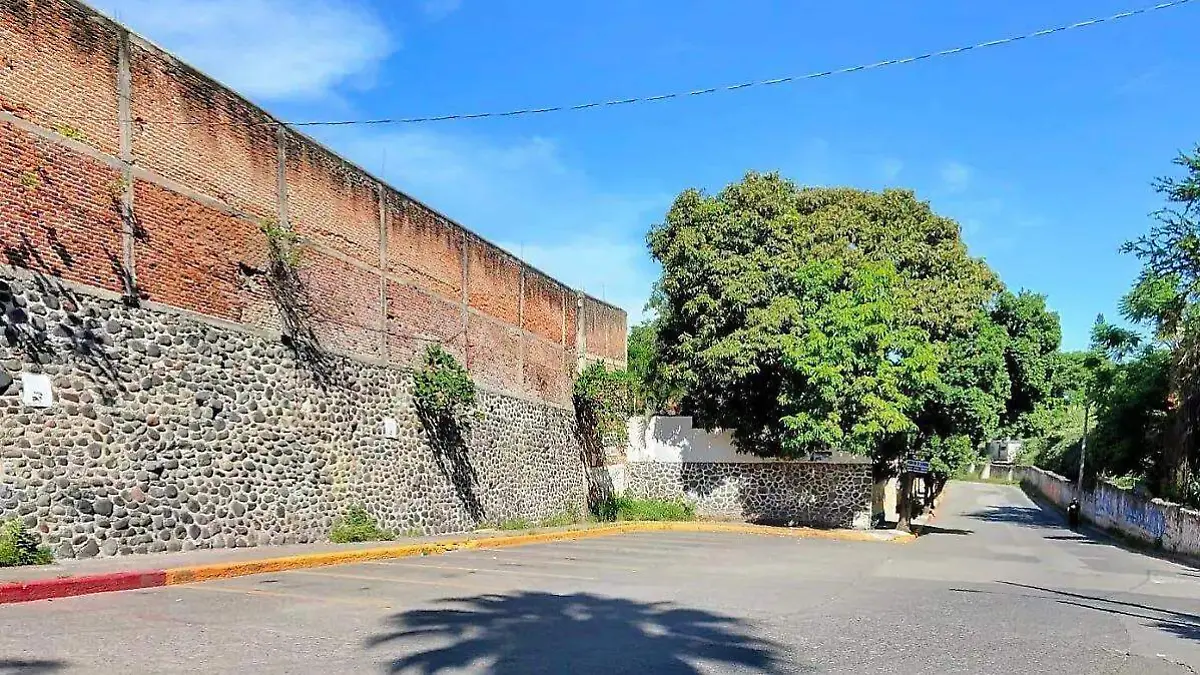 WhatsApp Image 2025-12-30 at 18.05.03