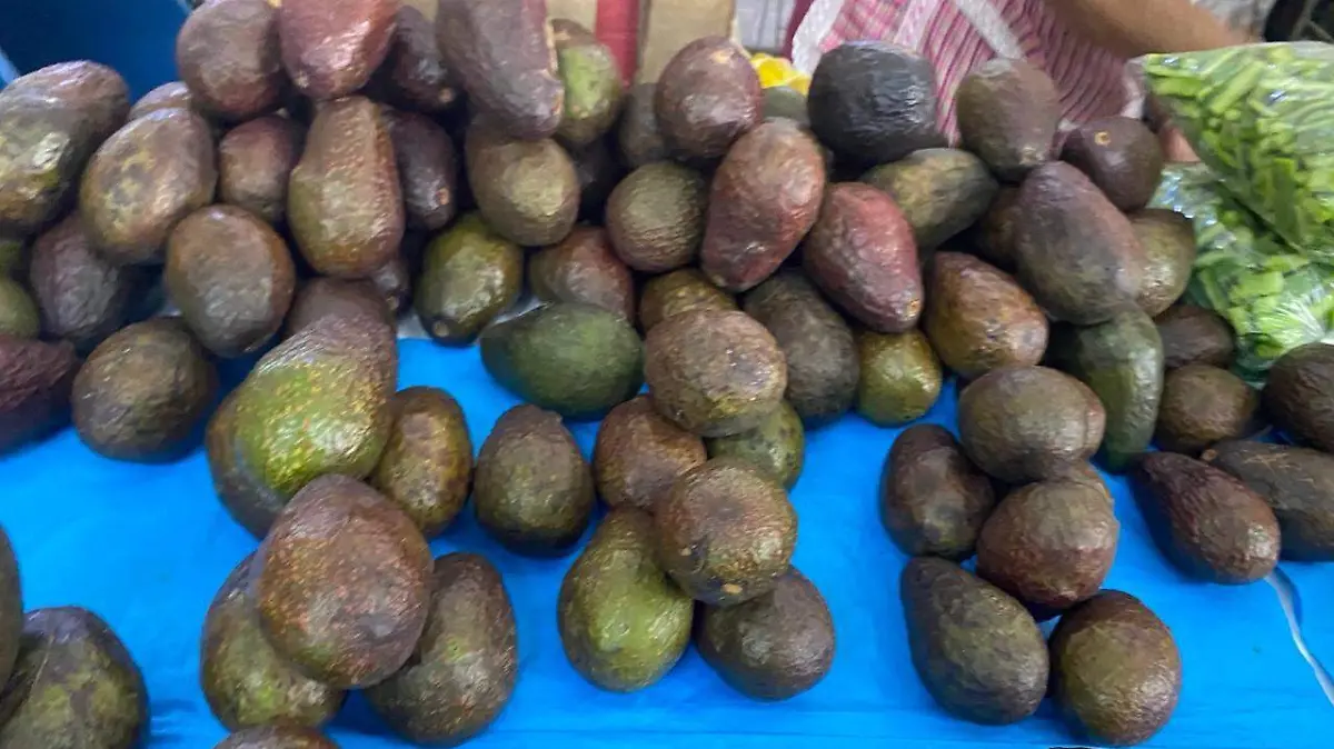 fcc2e947-0bae-496a-923e-65715e66d7c4