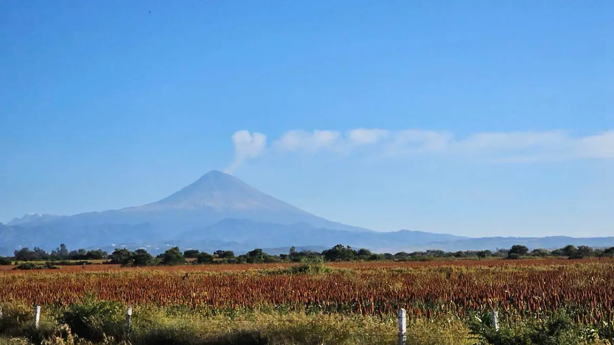 dfb658a1-c11e-4c4a-acf8-6e01416f9e2d