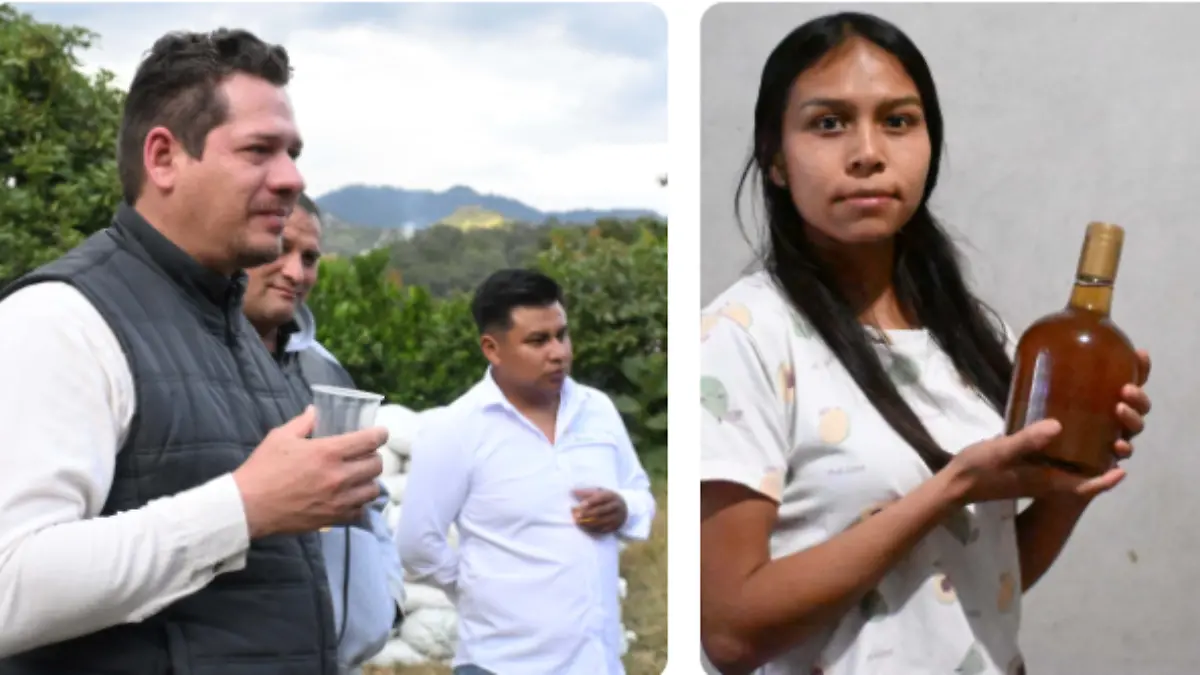 Captura de pantalla 2026-01-15 135633