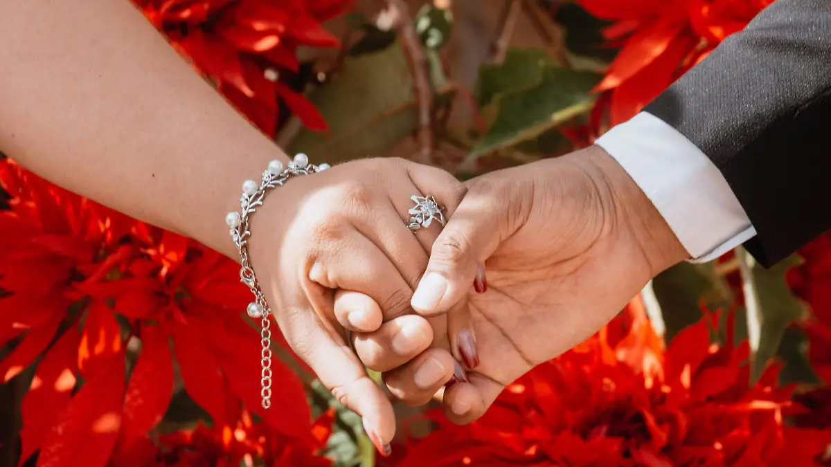 pexels-paublackcat-19420968