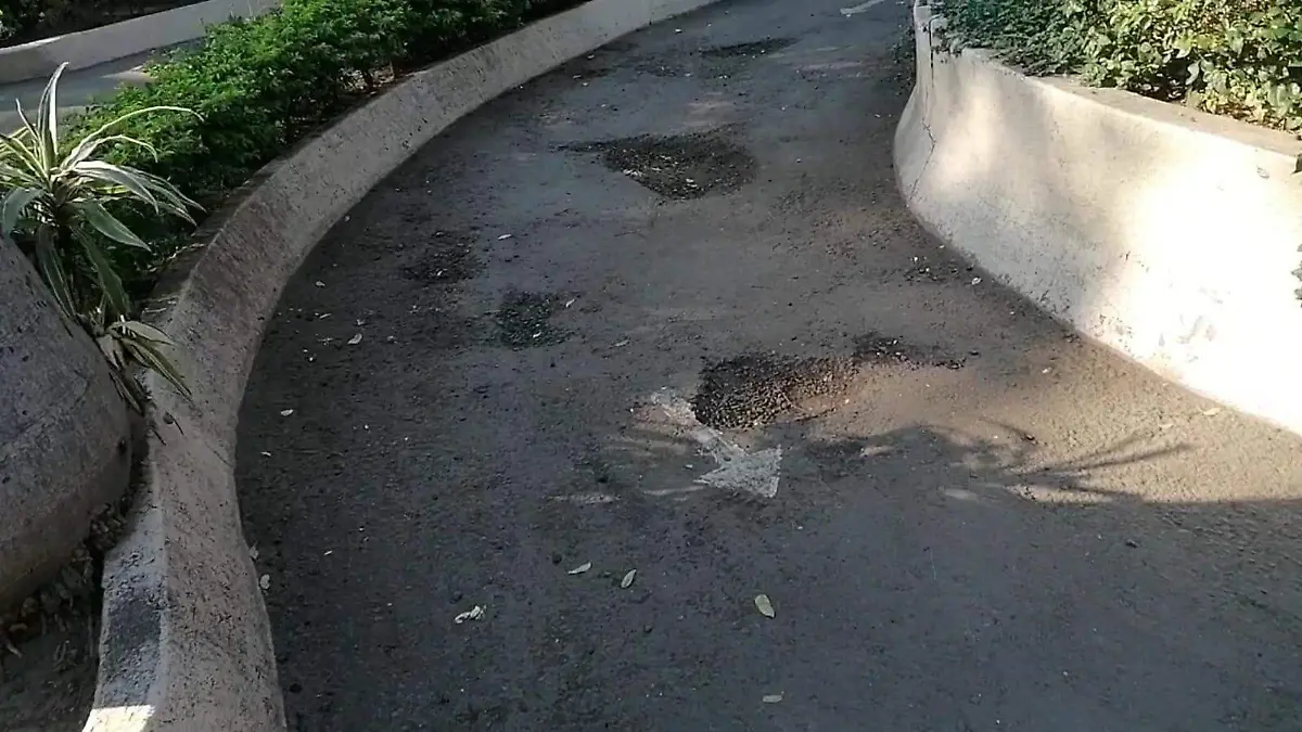 WhatsApp Image 2026-01-21 at 15.11.34