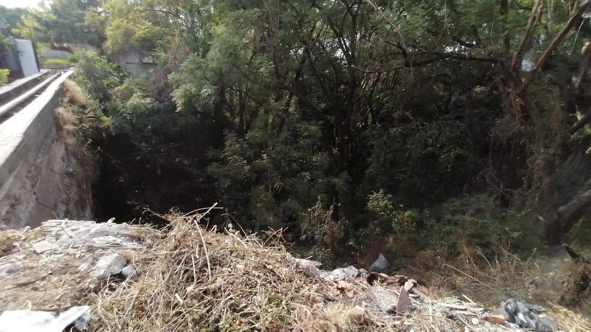 WhatsApp Image 2026-01-22 at 15.13.10