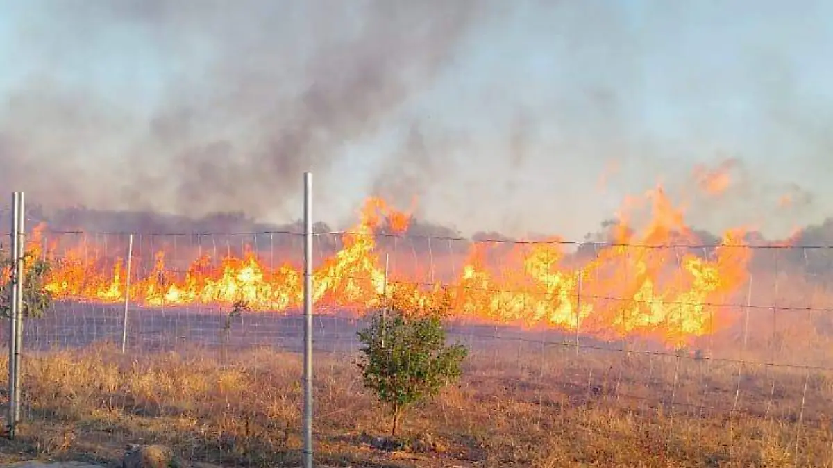 WhatsApp Image 2026-01-22 at 11.59.48