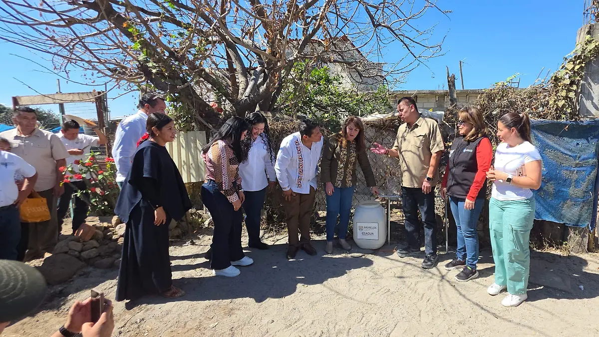 be54aa3d-7a3a-4956-bf45-071bc70ed312