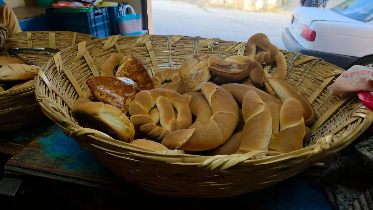 WhatsApp Image 2026-01-25 at 14.56.14