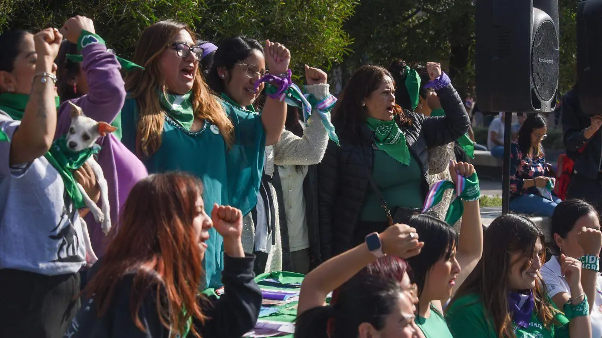 1058243_Marea Verde en Toluca_web