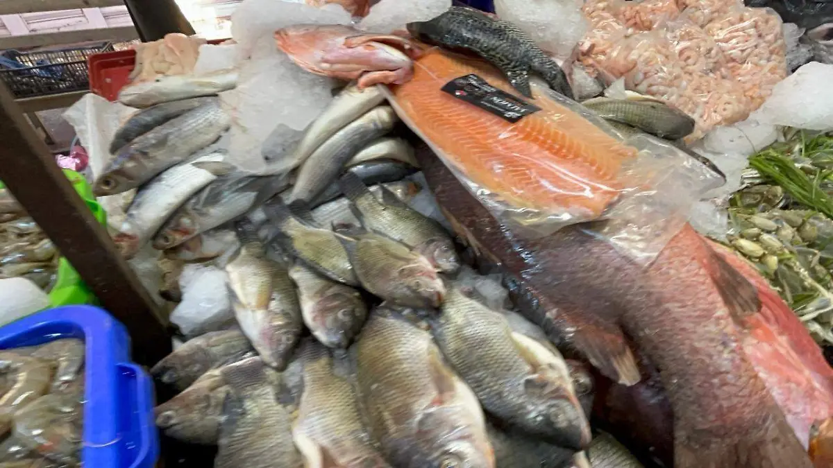 81615598-7f52-4b54-bfaf-3cc7694a5b0e