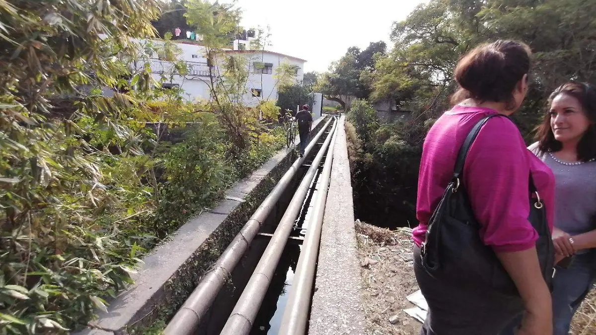 WhatsApp Image 2026-01-26 at 18.27.18