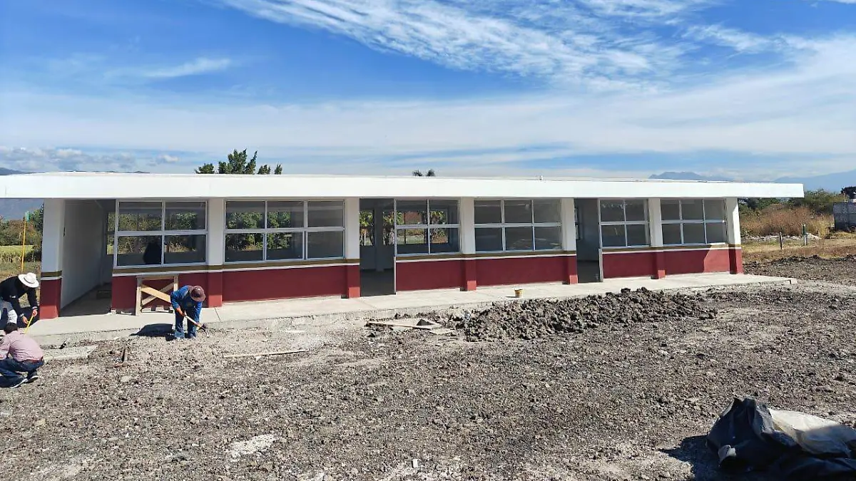 WhatsApp Image 2026-01-26 at 17.41.48