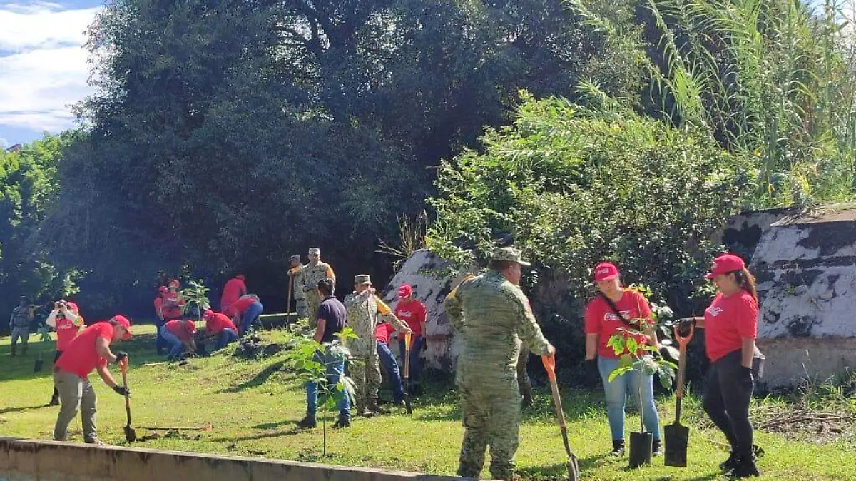 WhatsApp Image 2026-01-27 at 14.26.00