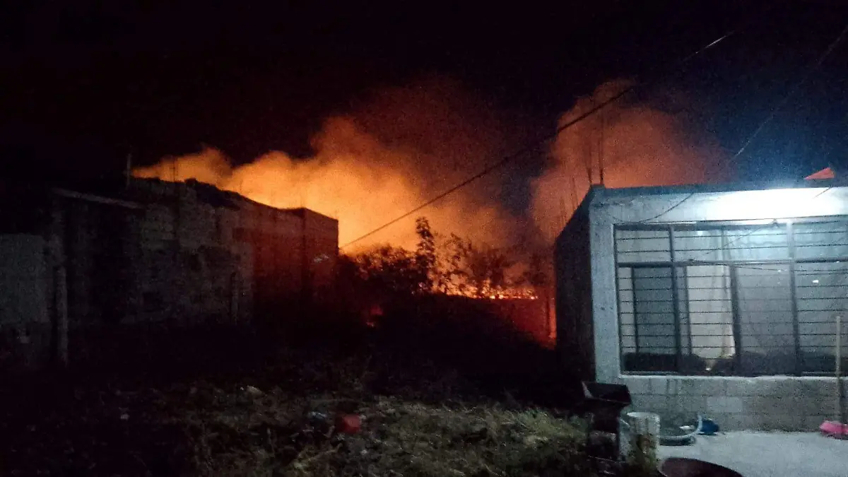 WhatsApp Image 2026-01-28 at 15.50.02