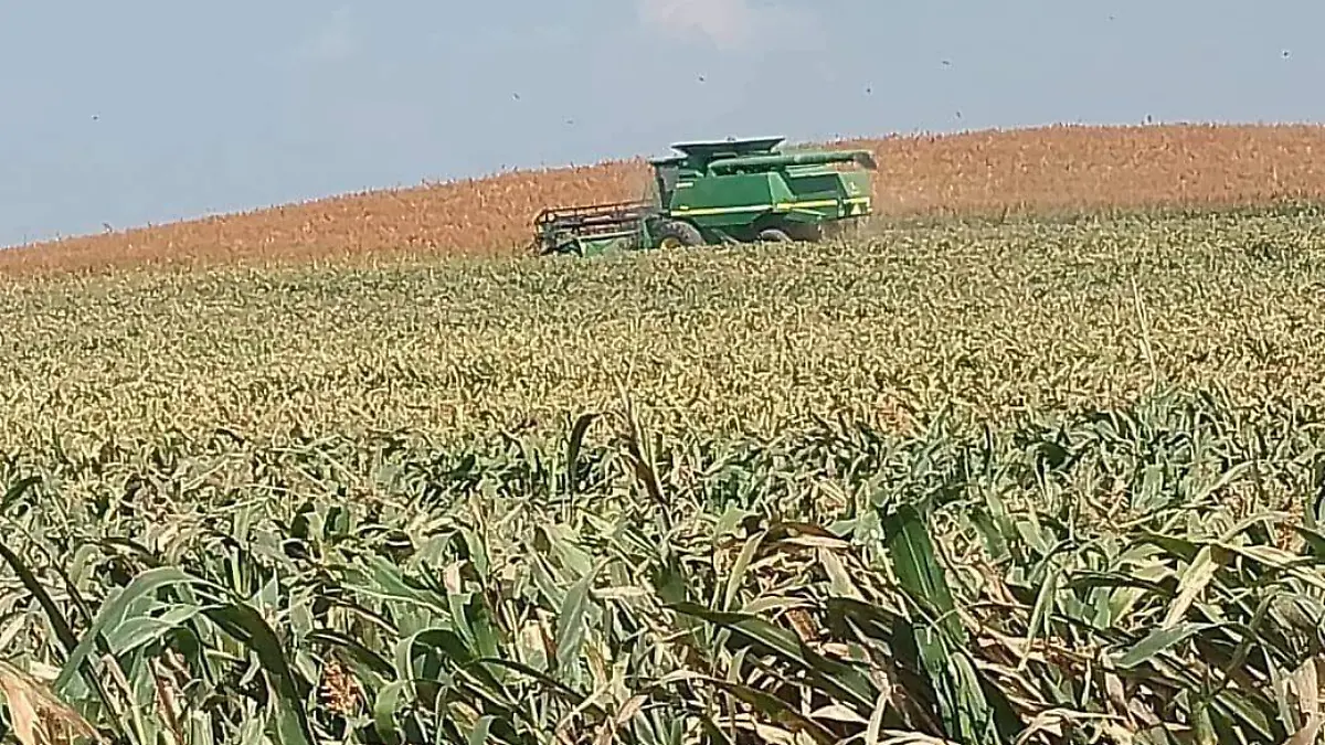 596858618_122162077616797687_1060950929077939397_n