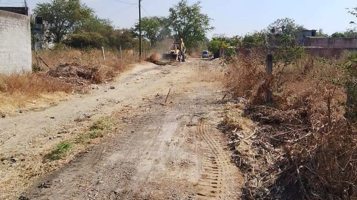 WhatsApp Image 2026-01-30 at 11.52.50