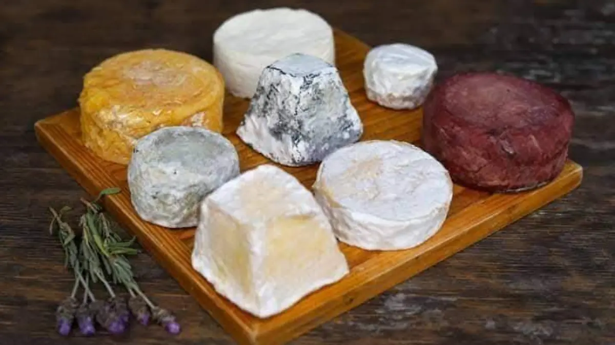 615773317_1206022944980174_100222714886627839_n