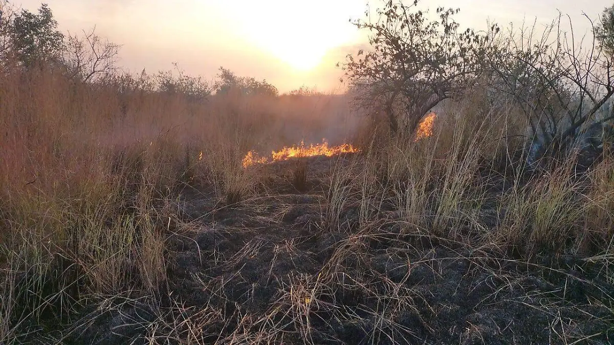 623998073_122157023444715594_5793477375939636132_n