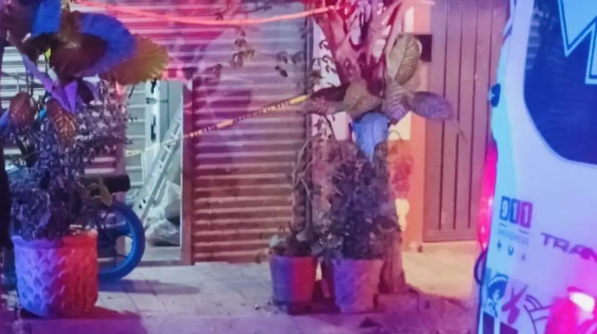 6905d398-3431-4ade-b503-c184a66fc6a5