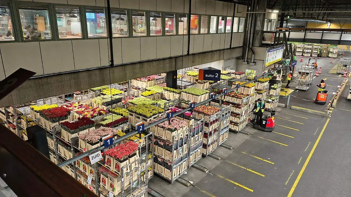 628037039_1354469846696349_769506683935460671_n