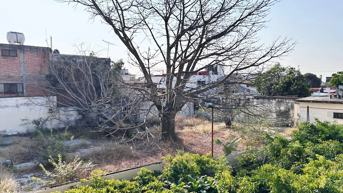 fd46d700-3cb1-4b80-a805-21c622f92309