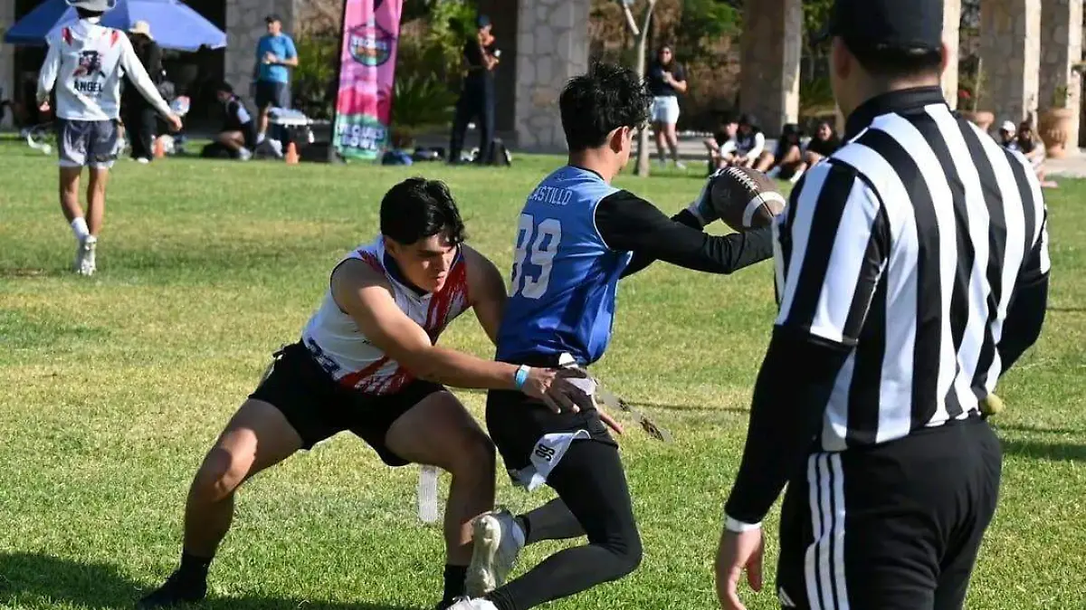 WhatsApp Image 2026-02-06 at 17.59.15